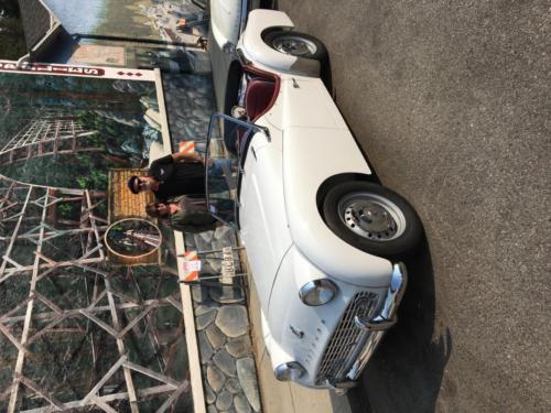 John Eiscamp 1960 TR3